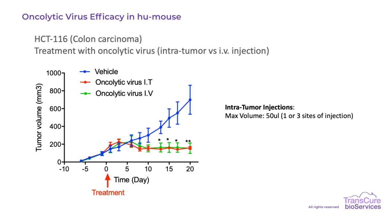 Oncolytic Virus Efficacy in hu-mouse