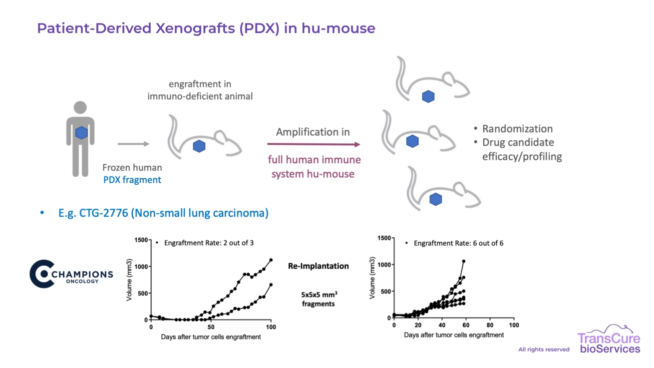 Patient-Derived Xenografts (PDX) in hu-mouse