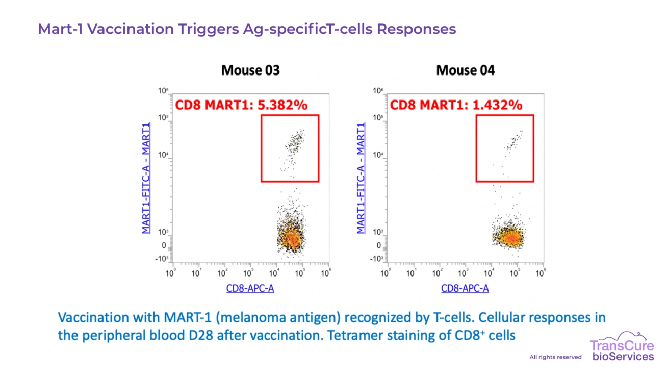 Mart-1 Vaccination Triggers Ag-specific T-cells Responses