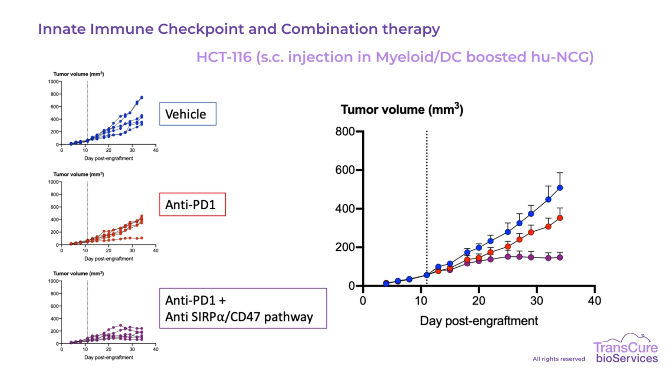 Innate Immune Checkpoint and Combination therapy
