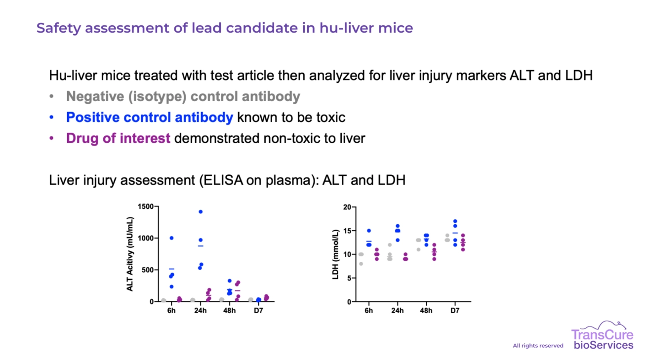 Safety assessment of lead candidate in hu-liver mice