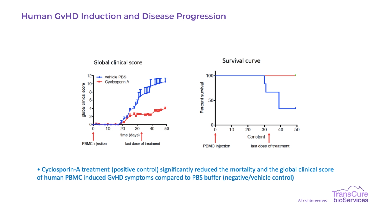 Human GvHD Induction and Disease Progression