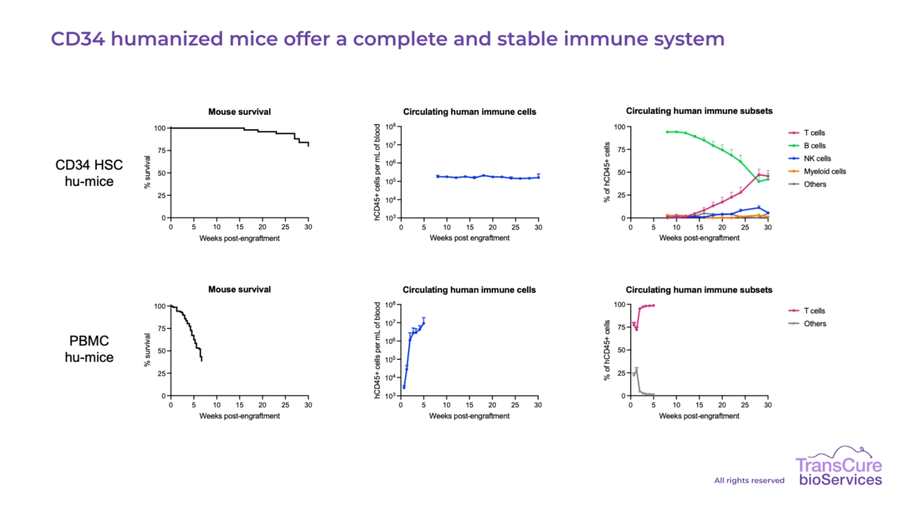 CD34 humanized mice offer a complete and stable immune system