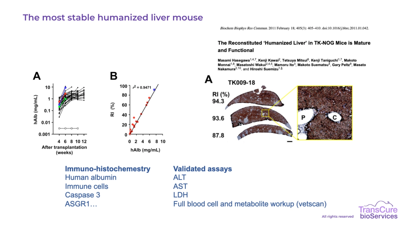 TK-NOG hu-Liver characterization