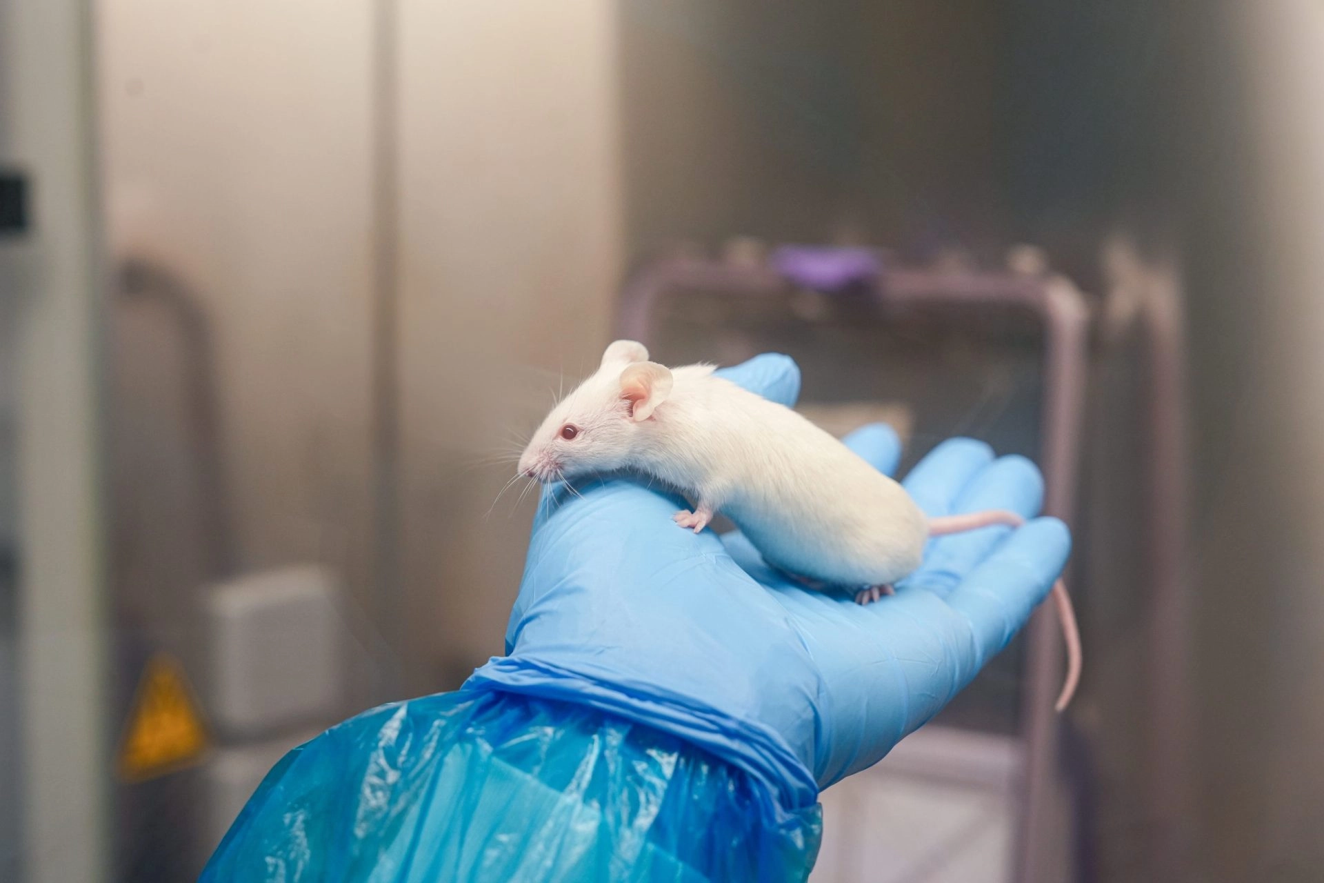 TransCure bioServices - CRO - Humanized Research - Humanized mice