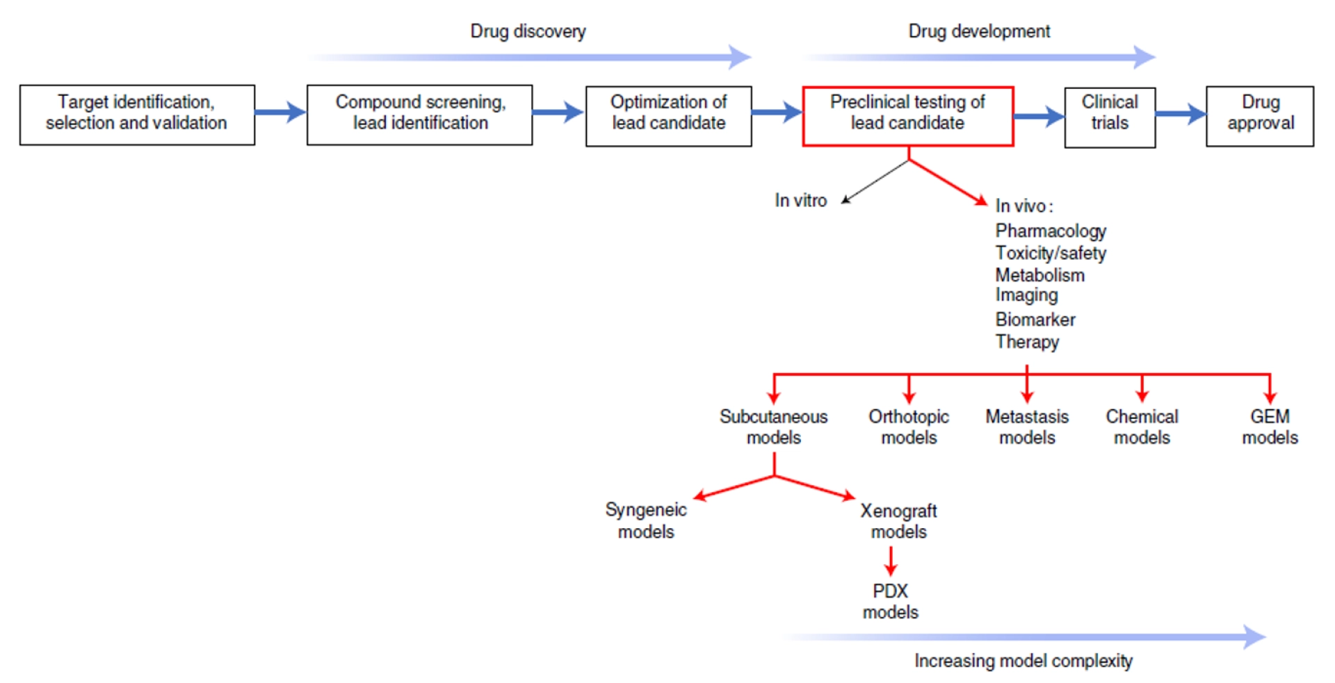 Figure 1 : From Stribbling & Ryan, 2022. Preclinical cancer drug development. The steps involved in cancer drug development showing where cancer models fit into the testing of the lead candidate; rather than occurring sequentially, the steps involved in drug discovery and drug development often overlap. GEM, genetically engineered mouse.